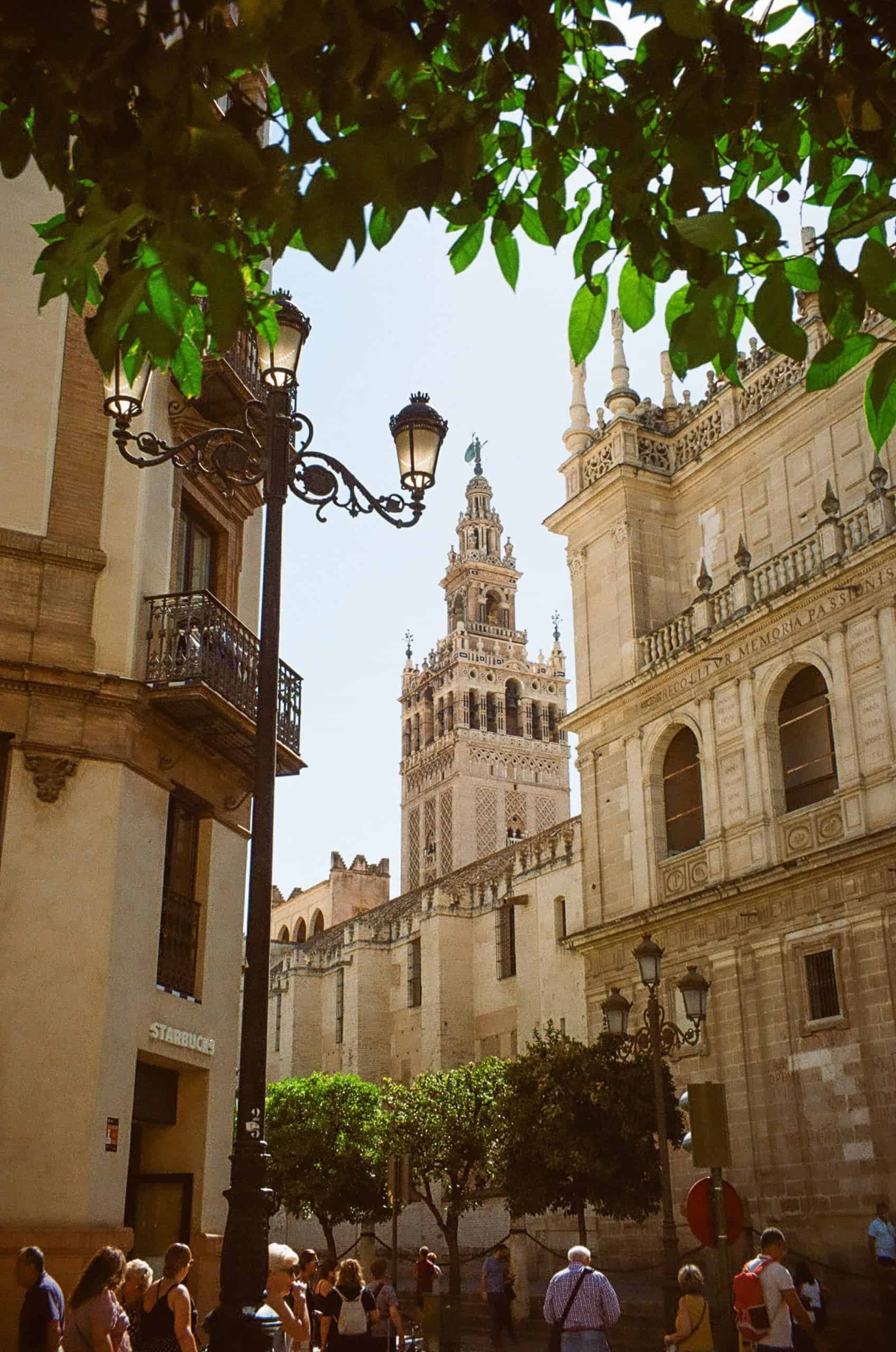 Tour Alcázar, Catedral y la Giralda