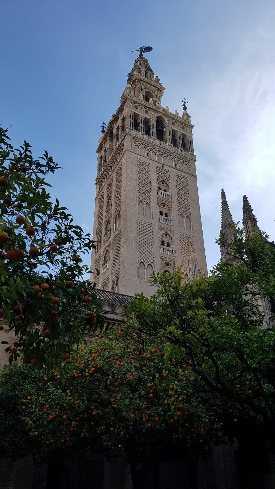 Catedral de Sevilla y Giralda