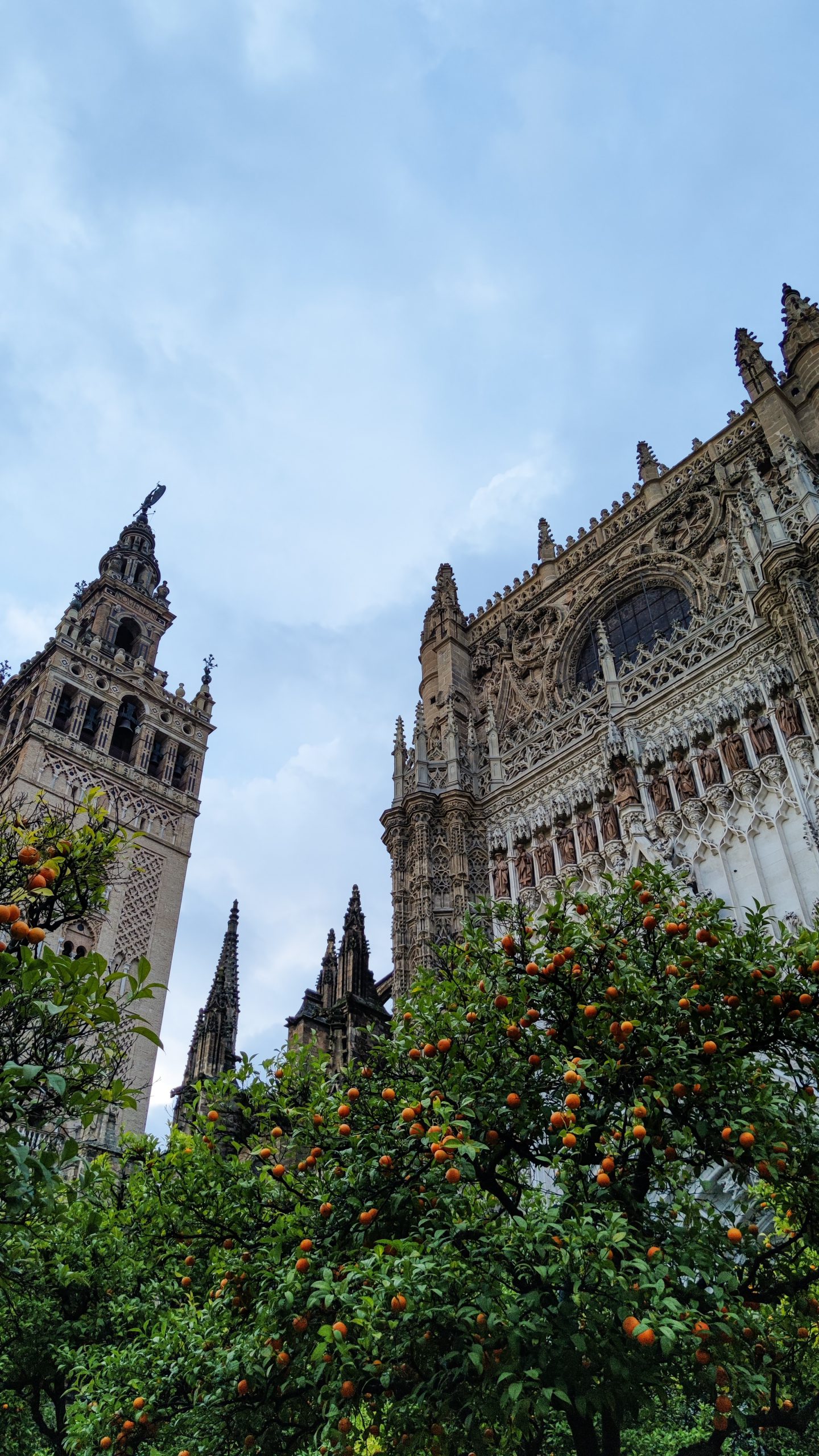 imagen granada